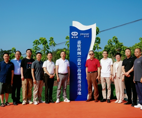 1xBET丝绸（高县）高品质蚕桑；卣浇遗疲